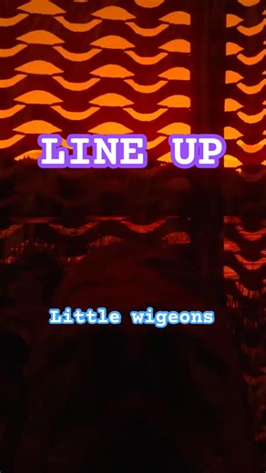 Line up, Little Wigeons 🦆💥