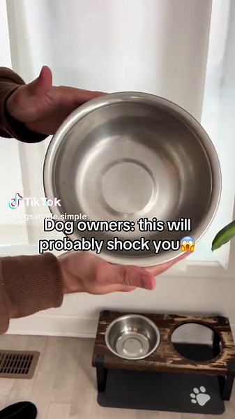 How to Clean Your Dog's Bowls for Better Health