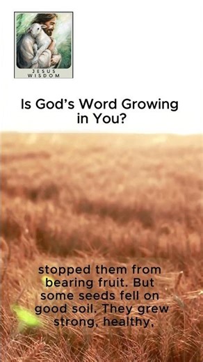 The Seed and the Soil (Powerful Bible Story)