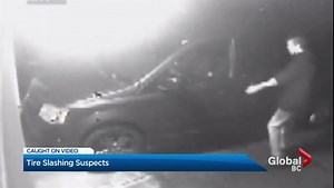 Police release surveillance video of tire slashing suspects