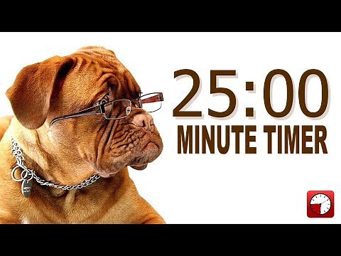 25 Minute Timer for PowerPoint and School - Alarm Sounds with Dog Bark