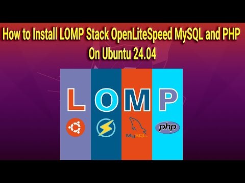 How to Install LOMP Stack OpenLiteSpeed, MySQL, and PHP on Ubuntu 24.04