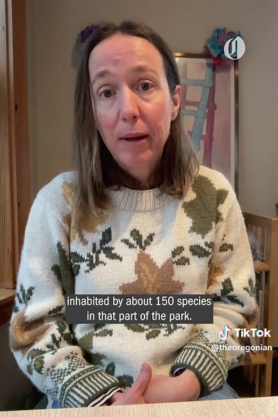 Portland Approves Cutting 370 Trees in Forest Park