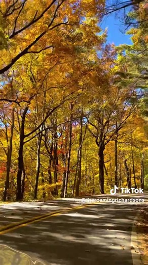 Exploring a Scenic Fall Route