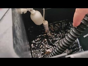 DIY RDWC 20 BUCKET 4 LIGHT HYDROPONIC SETUP WALK-THROUGH!