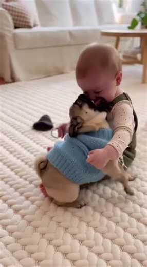Cute pug playing with baby 😘 | Baby Pet Moments