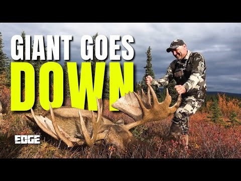 Alaska Moose | The EDGE | S9 E9