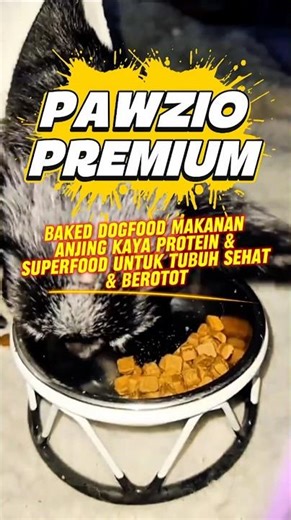 PAWZIO PREMIUM BAKED DOGFOOD Protein & Superfood-Rich Dog Food for a Healthy & Muscular Body