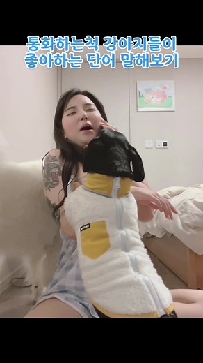 강아지를 화나게 하면 안된다.#fyp #puppy #추천