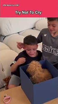 Try not to cry: Kid edition 😭