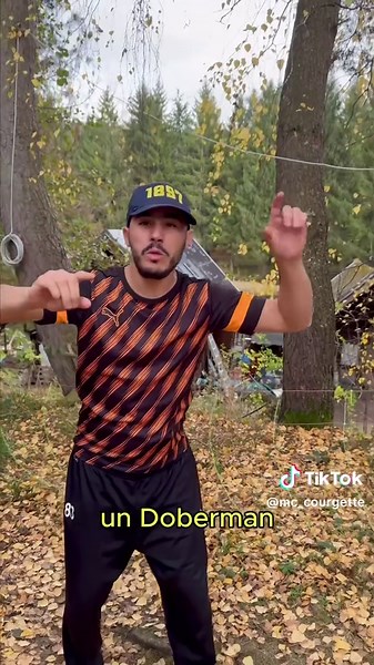 #courgette à la recherche du #bonheur dispo sur les plateformes #reggae #goodvibesonly #pourtoii