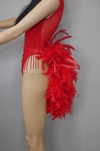 Ostrich & Rooster Feather Bustle: Showgirl Costume Accessory - Etsy