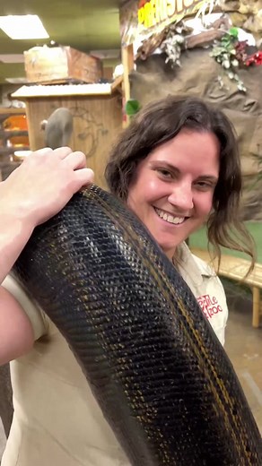 Stylish Reticulated Python: One Big Beauty | Animalsoftiktok