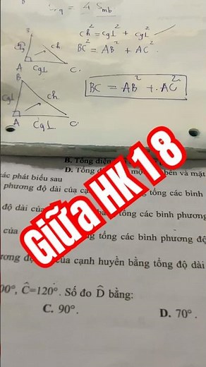 Grade 8 Geometry Midterm Test Review #shorts