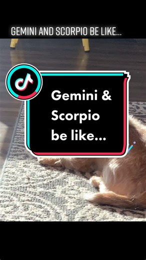 Exploring Astrology Compatibility for Pets