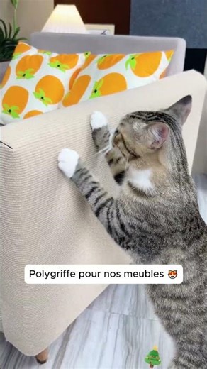 Protège-meubles contre les griffes de chat