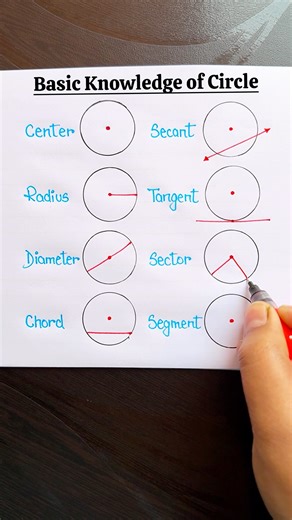 Basic Knowledge of a Circle ⭕️✨ #englishtips #circle #education #maths