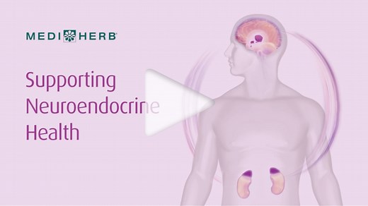 A Guide to Your Body's Biological Response to Stress