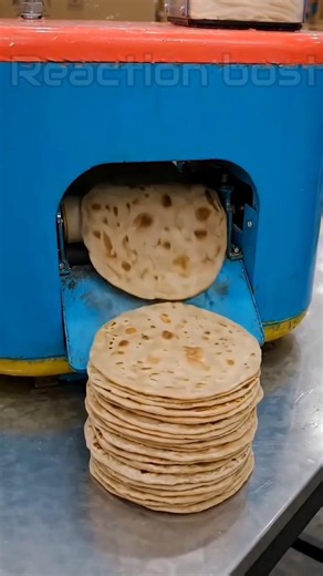 Automatic Roti Maker Machine | Fresh Chapati in Seconds! 🤯 #ytshorts #food #viral #viralvideo #diy
