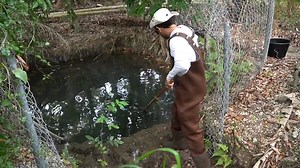 Rescuing Trapped Fish and Turtles From Abandoned Ponds