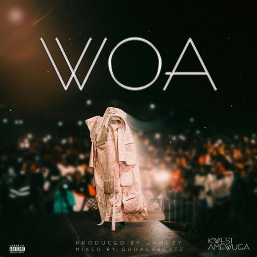 Woa by Kwesi Amewuga
