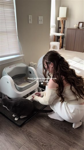 Litter Box Cleanup Day with 6 Cats