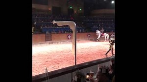 17 reactions | Memories are waiting to be made at the castle! Join us for one of our action-packed shows this weekend ⚔️ | Medieval Times Dinner & Tournament - Atlanta | Facebook