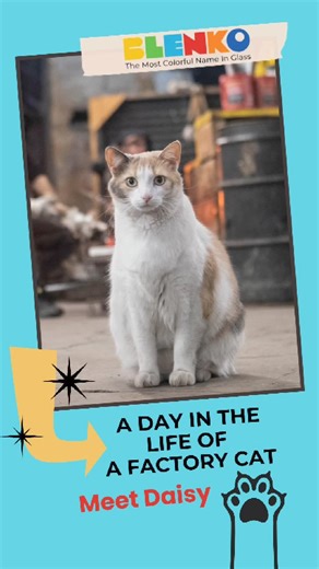 The last of the bunch! 🤍🌼 Meet Daisy, or as the shop floor calls her, “Miss Kitty.” #factory #cats #blenko #glass #inventory #cathome #cute #daisy #catworkers #capture #naps | Blenko Glass Company