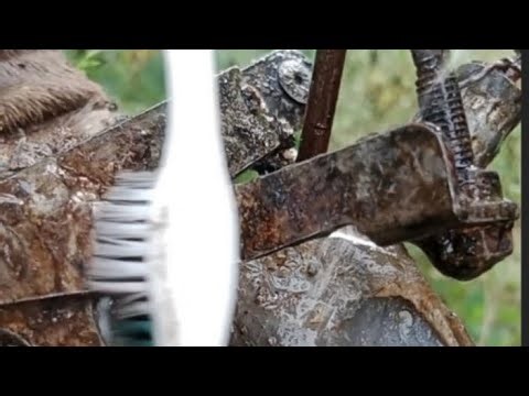 "Yes God, it's truly pitiful the condition of the cow's foot that's pierced by a rusty iron nail"