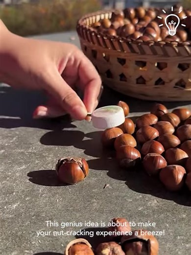 Best walnut opening hacks you need to know 🥜🔧 | Home Try