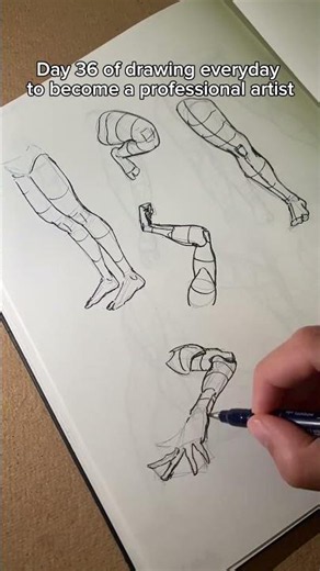Day 36 of drawing everyday to become a professional artist