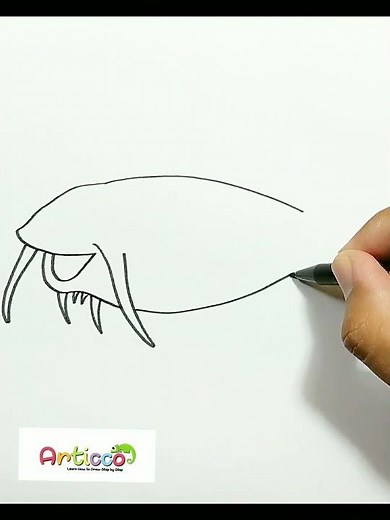 DRAWING CATFISH EASY