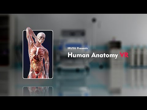 Human Anatomy 4D Preview in mixed reality, virtual reality and agumented reality