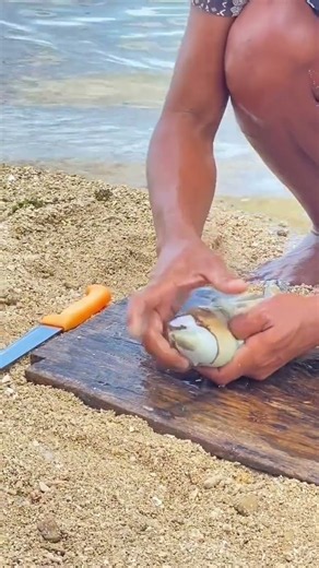 🐙 Amazing Fish Hidden Inside an Octopus! 😱 | Unbelievable Sea Discovery