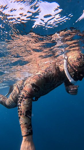 ‏"Here are the 3 essentials for a safer, smoother freedive: 1. **Breath...