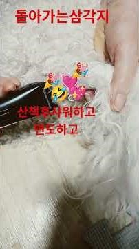 Returning triangle #Baeho #Cherry #Shower #Shaving