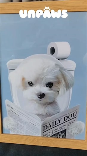 Milo here, CEO of Unpaws 🐾 I run the company that turns pet photos into funny portraits. I work for treats and creative control. 😌🎨 Raise a paw if you’d like to get your portrait done by my human… or simply head to my shop, have a look, and place your order. 🐶🛒 #smallbusiness #smallbusinessowner #malteselove #malteseofinstagram #malteselife | Unpaws