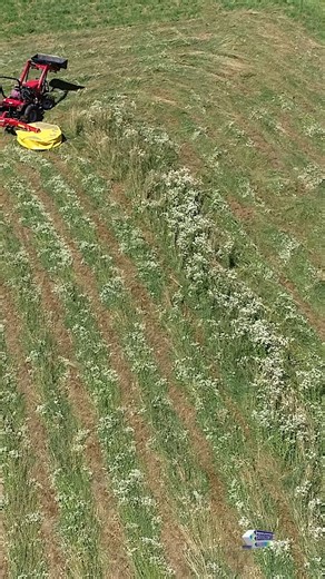 Watch the TM67 drum mower go to work! This powerhouse chews through thick hay like it’s nothing—covering acres fast, clean, and with zero fuss. Big performance.Serious results. #TractorToolsDirect #MowLikeAPro #HayDay #HobbyFarming #FarmLife | Tractor Tools Direct