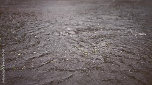Slow motion, Close up of swift stream of rainwater flows into storm drain. Heavy rain leads to sewage overflow, flood in city