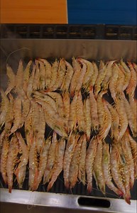 Aiuto a fuoco!!!! 😁😁😁😁😁 | Pescheria friggitoria da capitan Pinuccio.