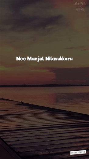 Nenavu Therinja (Lyrics) 🎶 | Kakkai Chiraginile | Ilaiyaraaja | Mano | KS Chithra | Tamil Melody