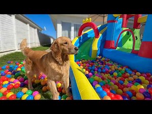 DOG GETS PERSONAL INFLATABLE CASTLE FOR THIRD BIRTHDAY!