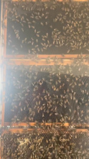 Rocking it with the boss on an epic tour of the Channeled Scablands 🤘🙌🤘 | Mary-Jo Day