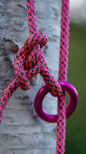 Climb Pink!! Incorporating the DMM pink anchor ring into a running bowline. #arborist #pinkoctober #climbpink #honeybros #treeclimber | Honey Brothers Ltd - Arboricultural Equipment Specialists