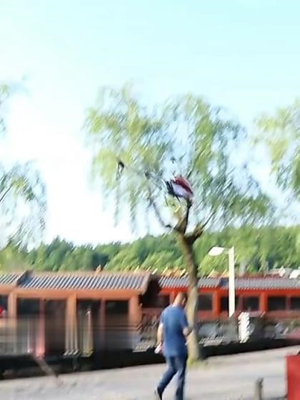 0e29bee278724590bf05f52731a8a7d9