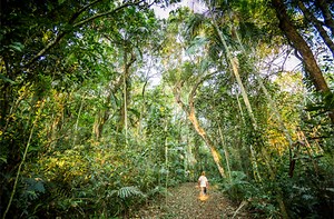 World Fair Trade Day - Fair World Project