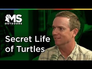 The Hidden Lives of Turtles with Will Selman | MS Outdoors Podcast