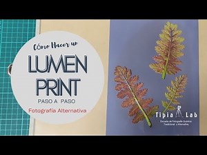 Aprende LUMEN PRINT PERMANENTE (Tutorial Paso a Paso) / Fotografía Sin Cámara!☀️ 🖼️