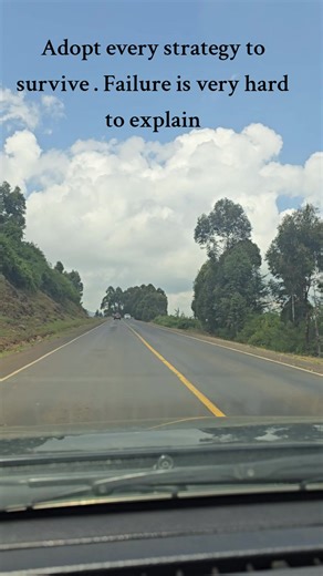 Overcoming Setbacks: Strategies for Resilience