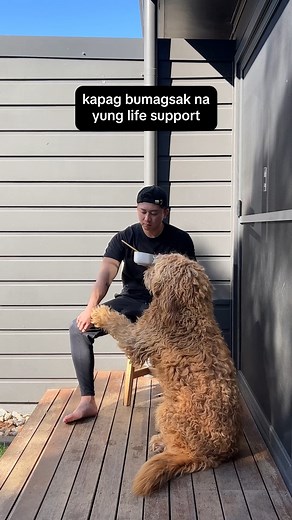 3 lessons to become successful. | Zac Alviz